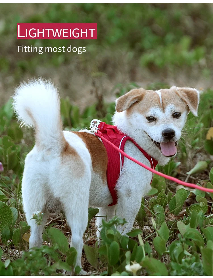 Reflective Dog Harness & Leash Set – Adjustable Vest