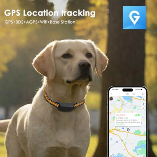 GPS dog tracker for medium/large dogs, durable silicone strap, black, 3-level virtual fences, 7-day battery, IP66 water resista