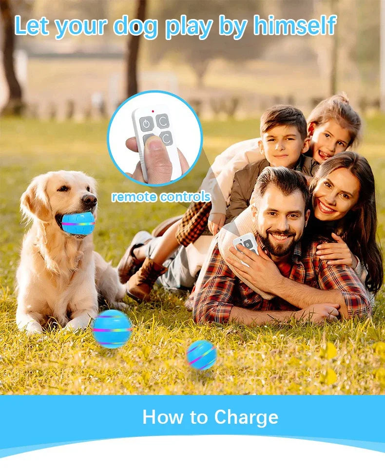 Remote Control Flashing Pet Toy Ball – USB Rechargeable
