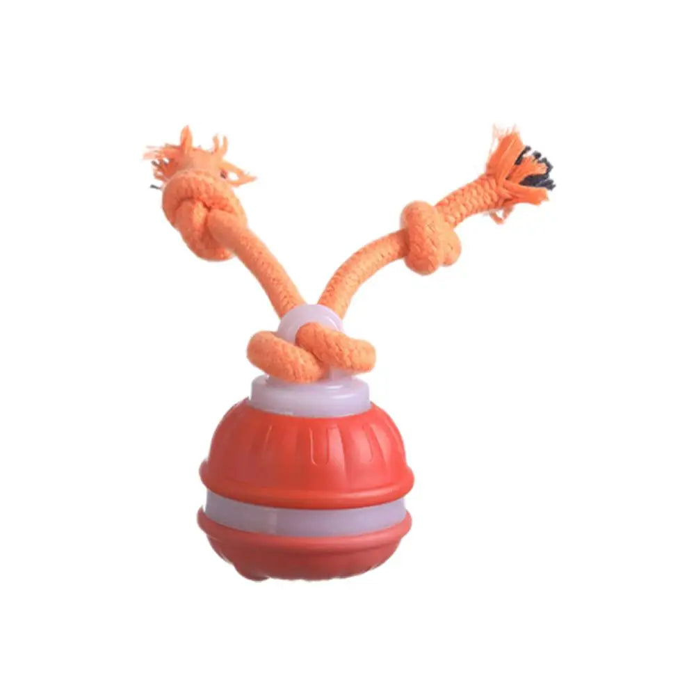 Auto-Rolling Interactive Dog Toy Ball – USB Rechargeable
