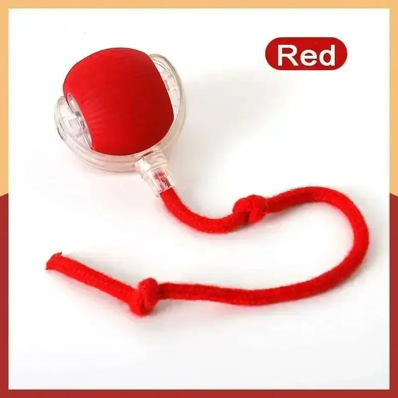 Interactive RGB Dog & Cat Toy Ball – USB Auto-Bouncing