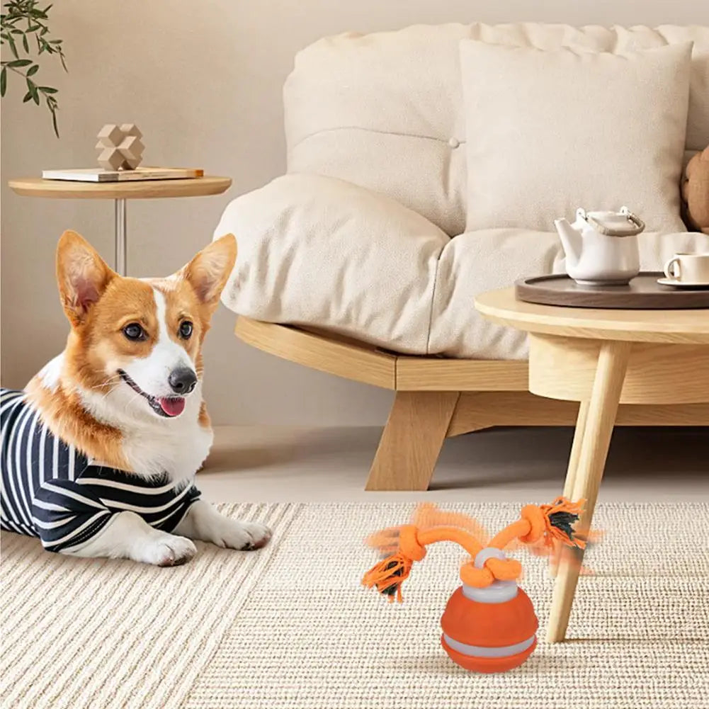 Auto-Rolling Interactive Dog Toy Ball – USB Rechargeable