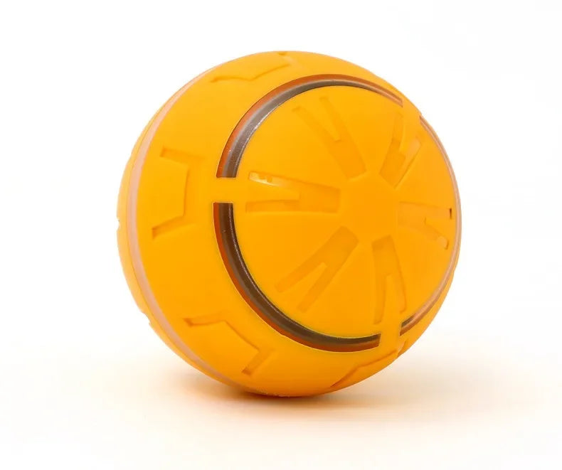 Remote Control Flashing Pet Toy Ball – USB Rechargeable
