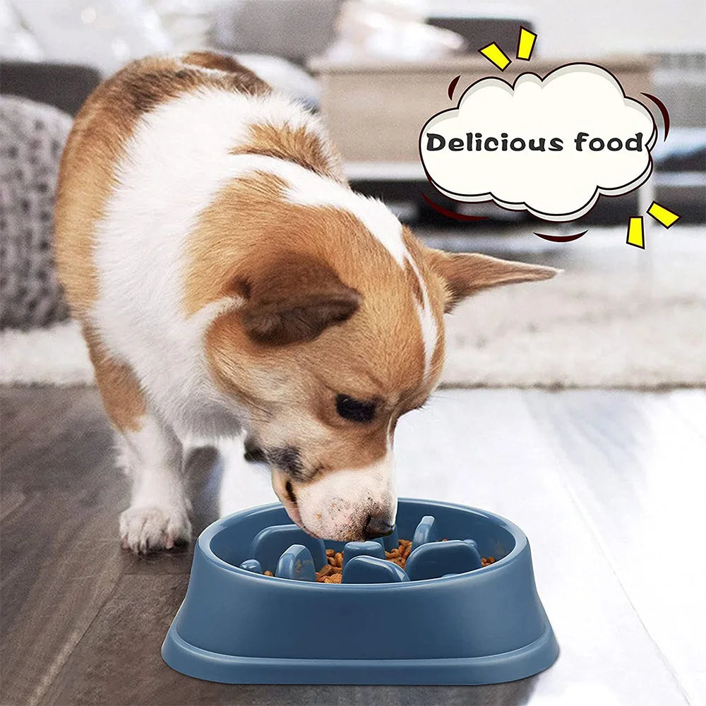 Dog Slow Feeder Puzzle Bowl – Non-Slip, Anti-Gulping