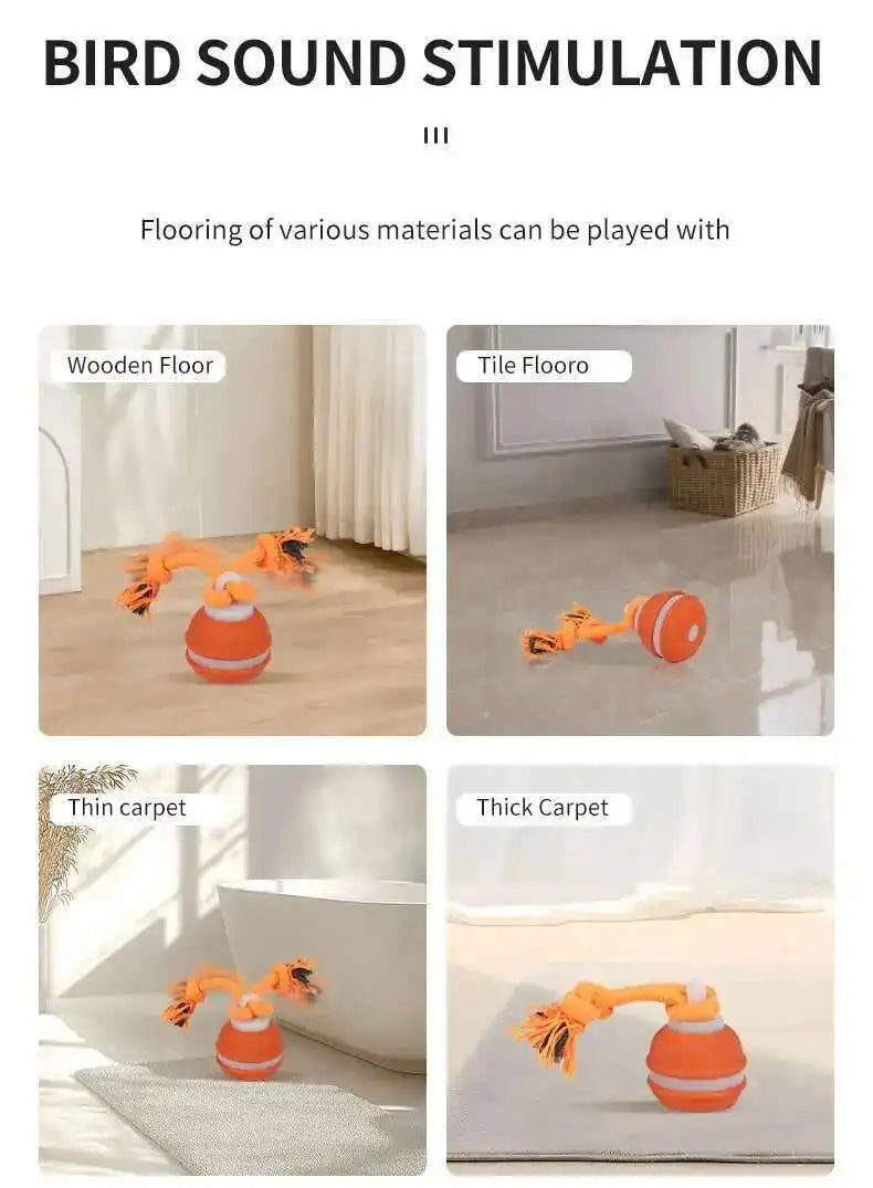 Motion-Activated Squeaky Rolling Dog Toy Ball