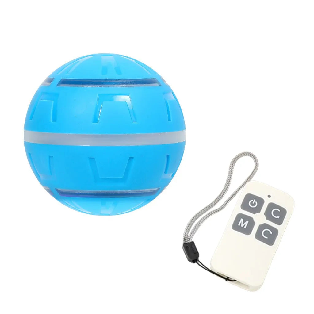 Remote Control Flashing Pet Toy Ball – USB Rechargeable