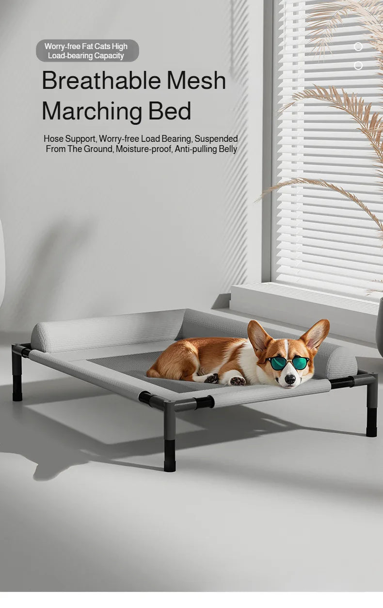 Waggy Tail elevated breathable mesh pet bed with moisture-proof design, large off-ground camp bed for dogs and cats.
