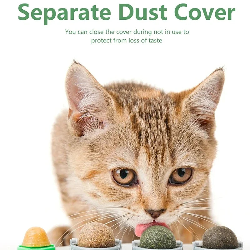 Catnip & Silver Vine Cat Toy Ball – Teeth Cleaning & Digestive Health
