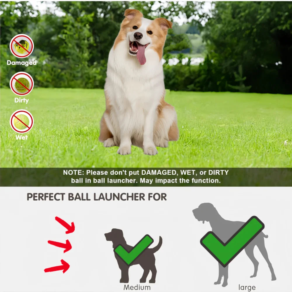 Automatic Tennis Ball Launcher for Dogs – USB Rechargeable