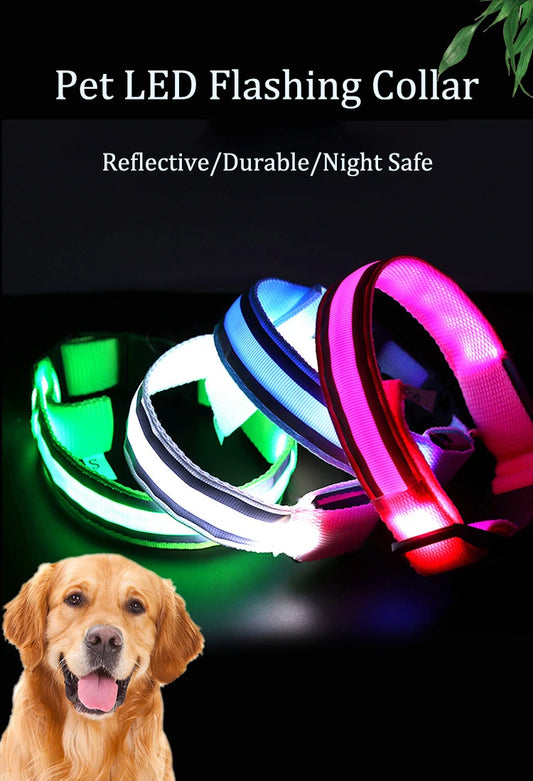 Glowing Nylon Dog Collar – LED, Reflective, Night Safety