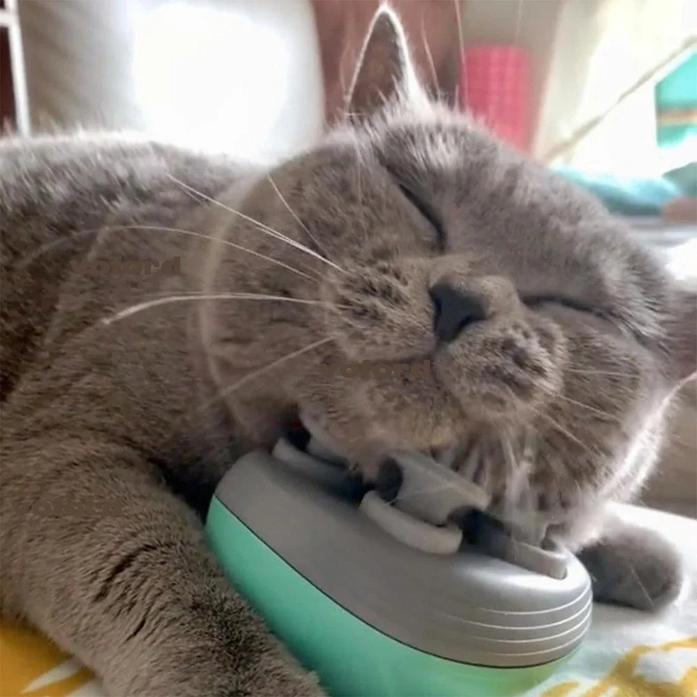 Electric Pet Head & Back Massager – Tension Relief