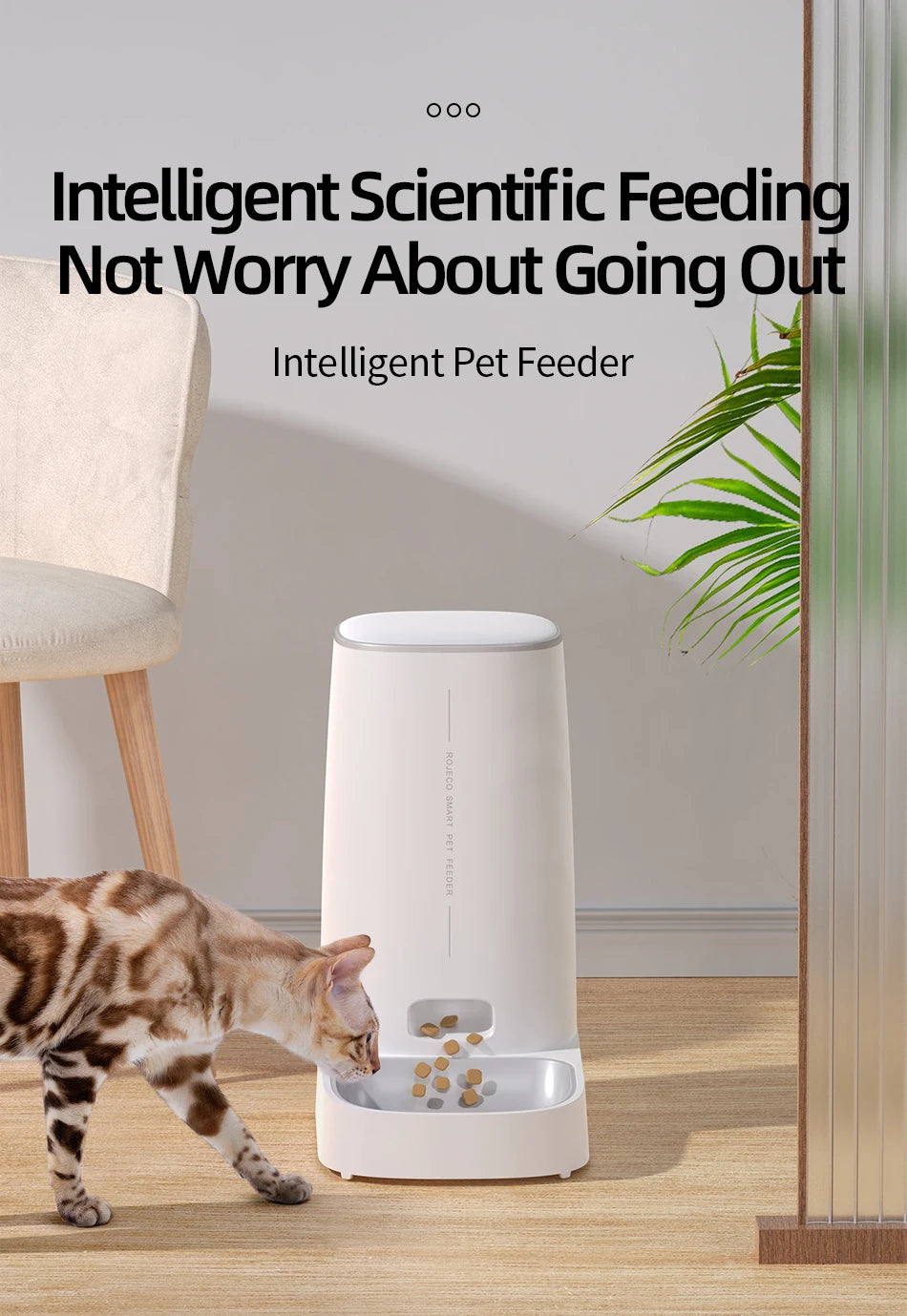 ROJECO Auto Cat Feeder – WiFi App, Remote Control, Dry Food Dispenser for Cats & Dogs
