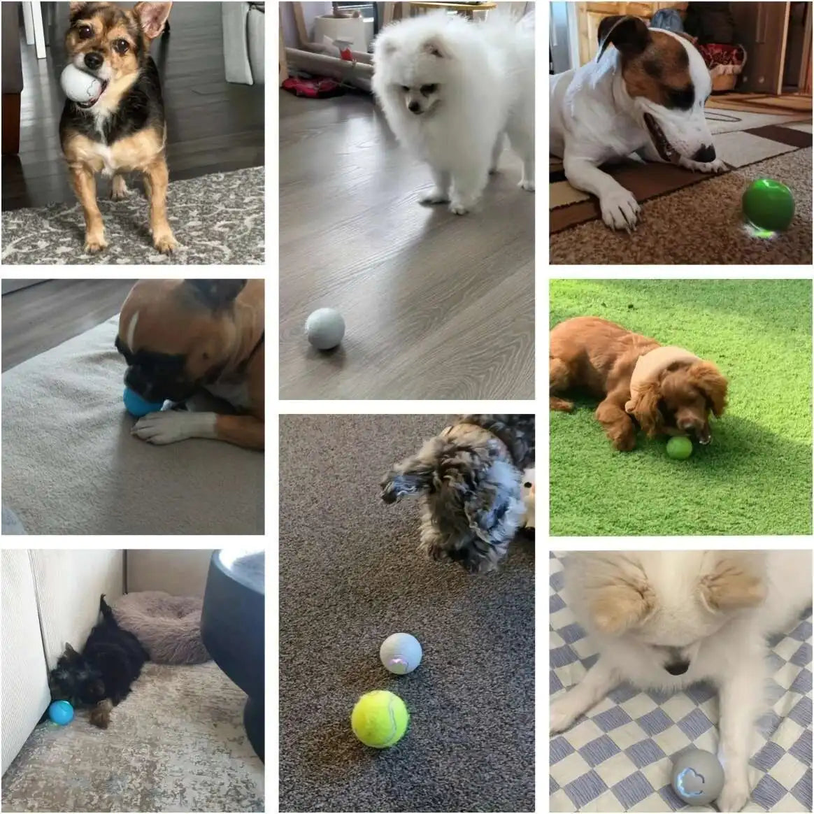 Smart Interactive Dog Toy Ball – RGB, USB Rechargeable