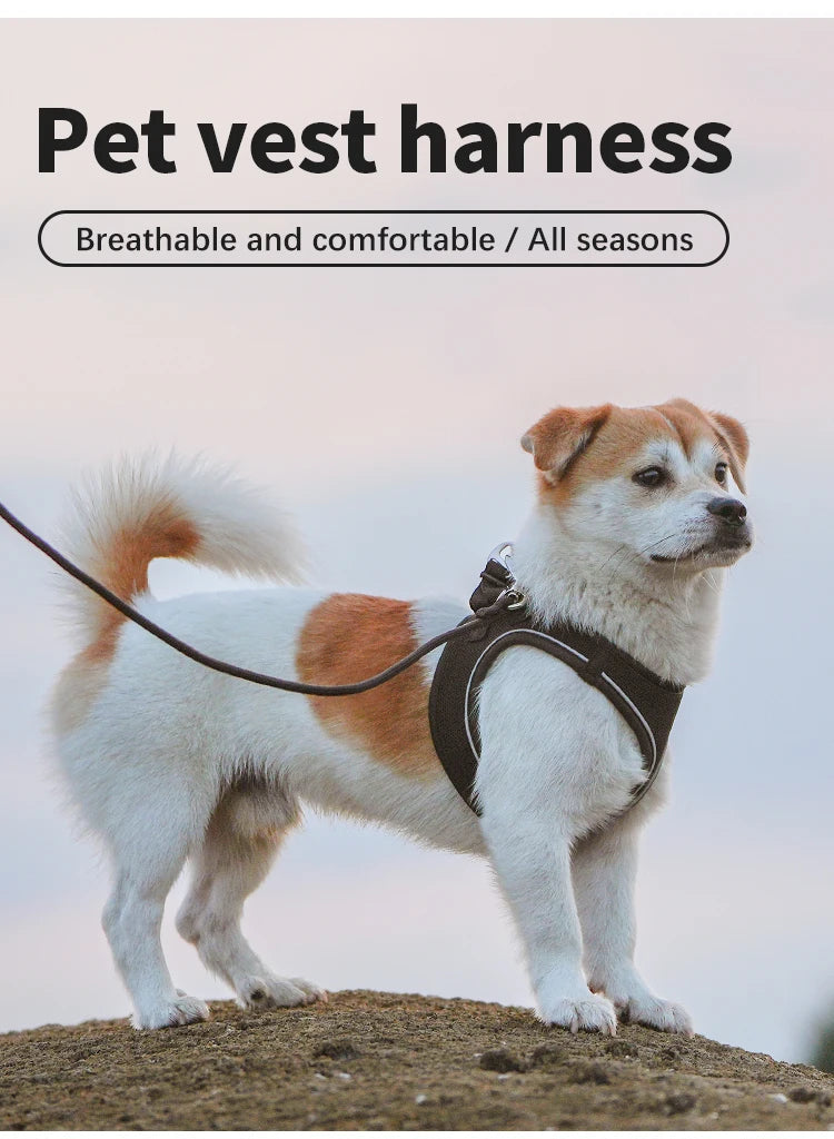 Reflective Dog Harness & Leash Set – Adjustable Vest