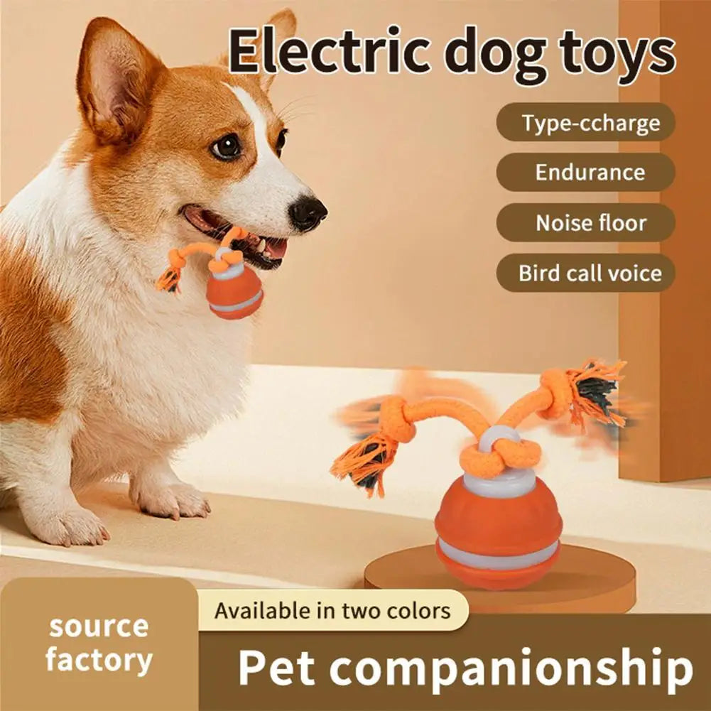 Auto-Rolling Interactive Dog Toy Ball – USB Rechargeable