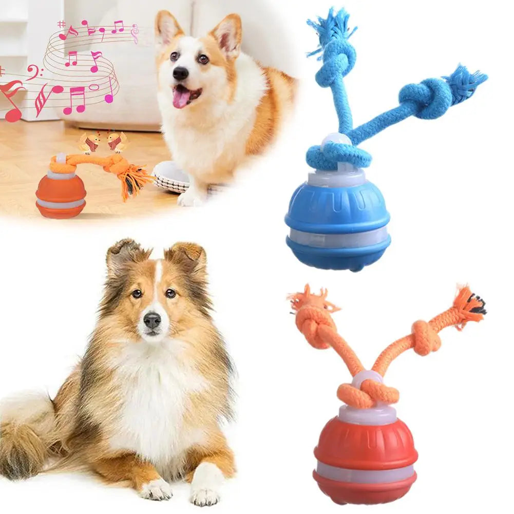 Auto-Rolling Interactive Dog Toy Ball – USB Rechargeable