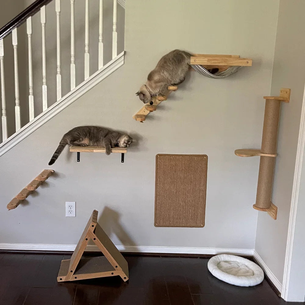 Wall-Mounted Cat Climbing Shelves with Hammock & Steps