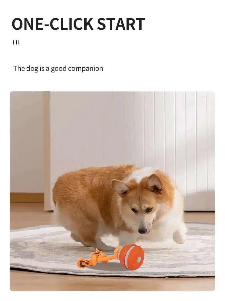 Motion-Activated Squeaky Rolling Dog Toy Ball