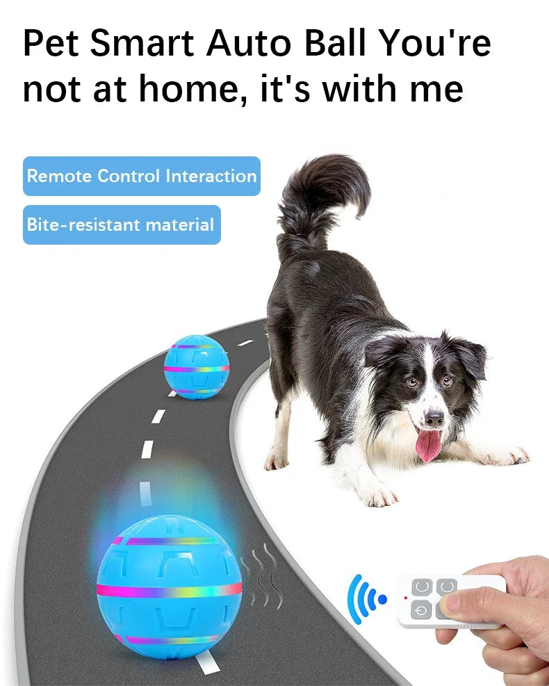 Remote Control Flashing Pet Toy Ball – USB Rechargeable