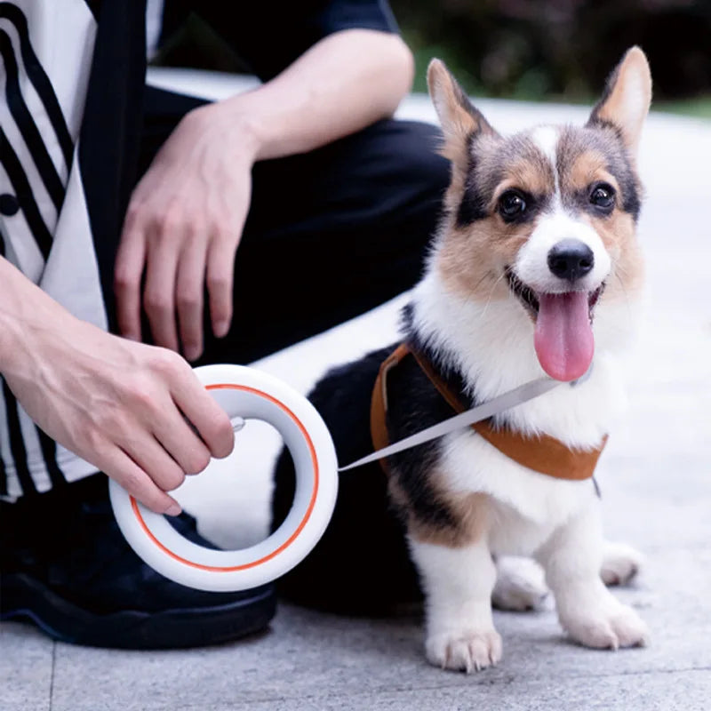 MOESTAR Retractable Dog Leash Lite Version Durable Training Walking Safety Dog Rope 3M Retraction Length for Max Pet Weight 30kg