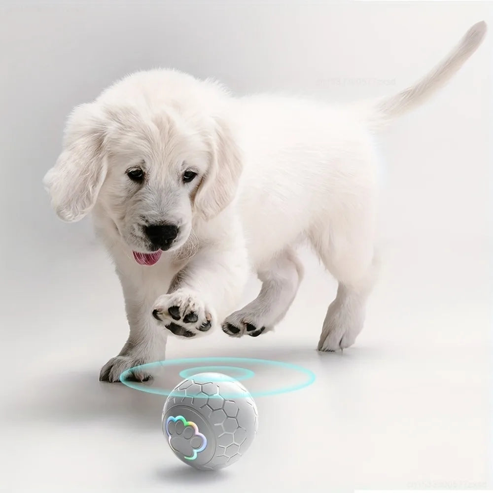 Smart Auto-Bouncing Dog & Cat Toy Ball with RGB Lights
