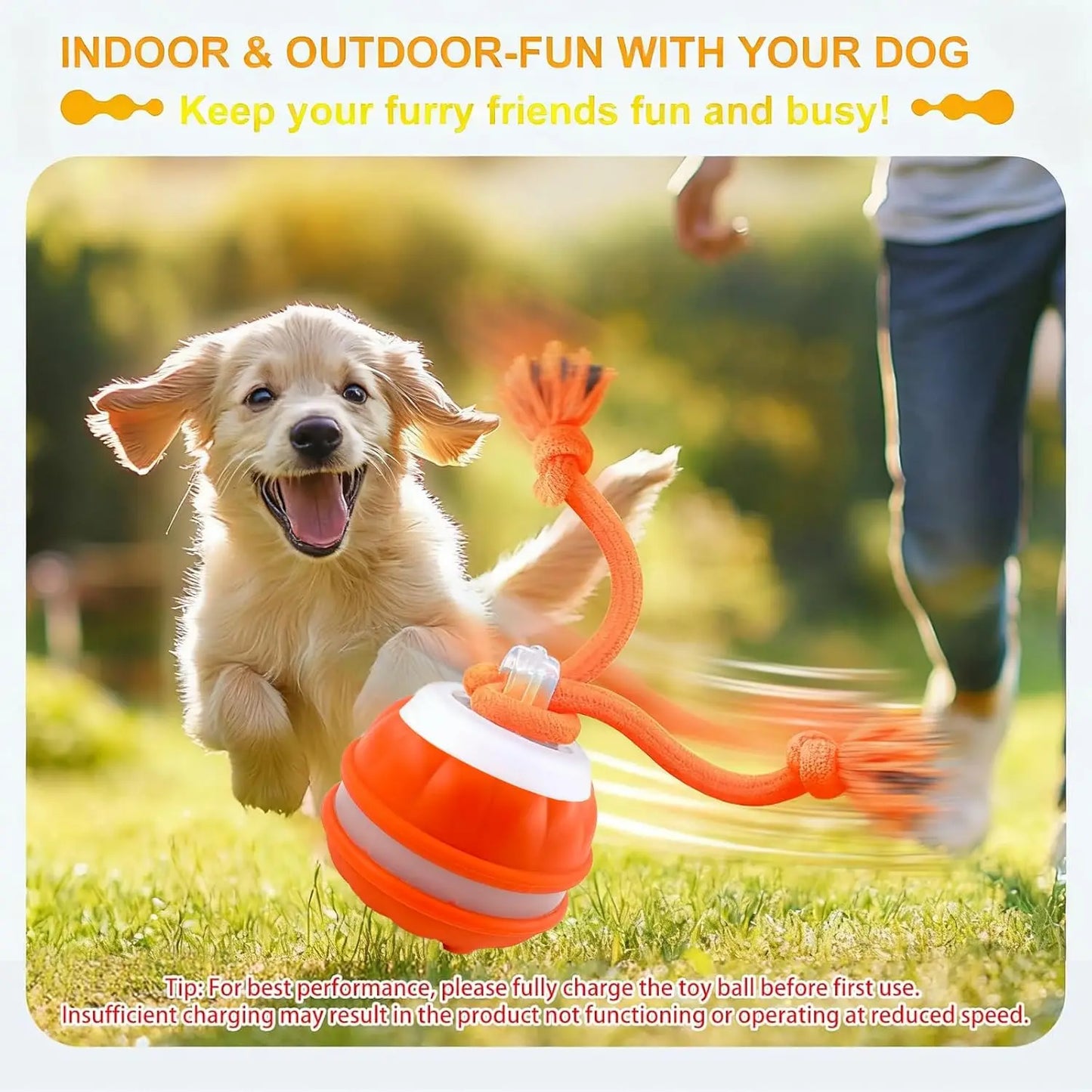 Electronic Rolling Dog Toy Ball with Rope