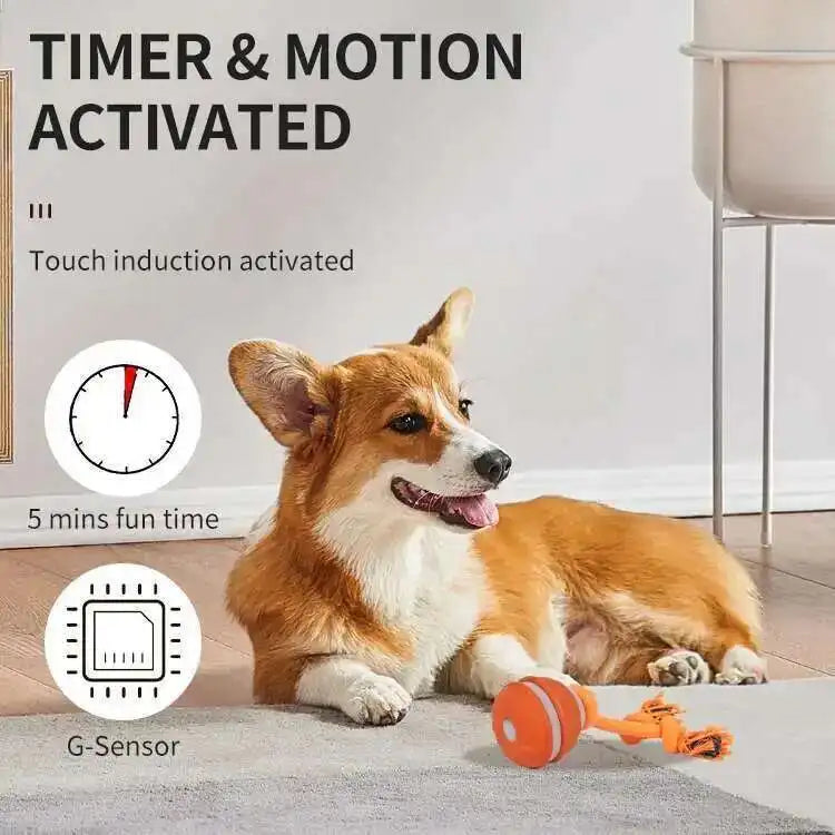 Motion-Activated Squeaky Rolling Dog Toy Ball