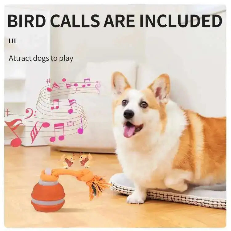 Motion-Activated Squeaky Rolling Dog Toy Ball