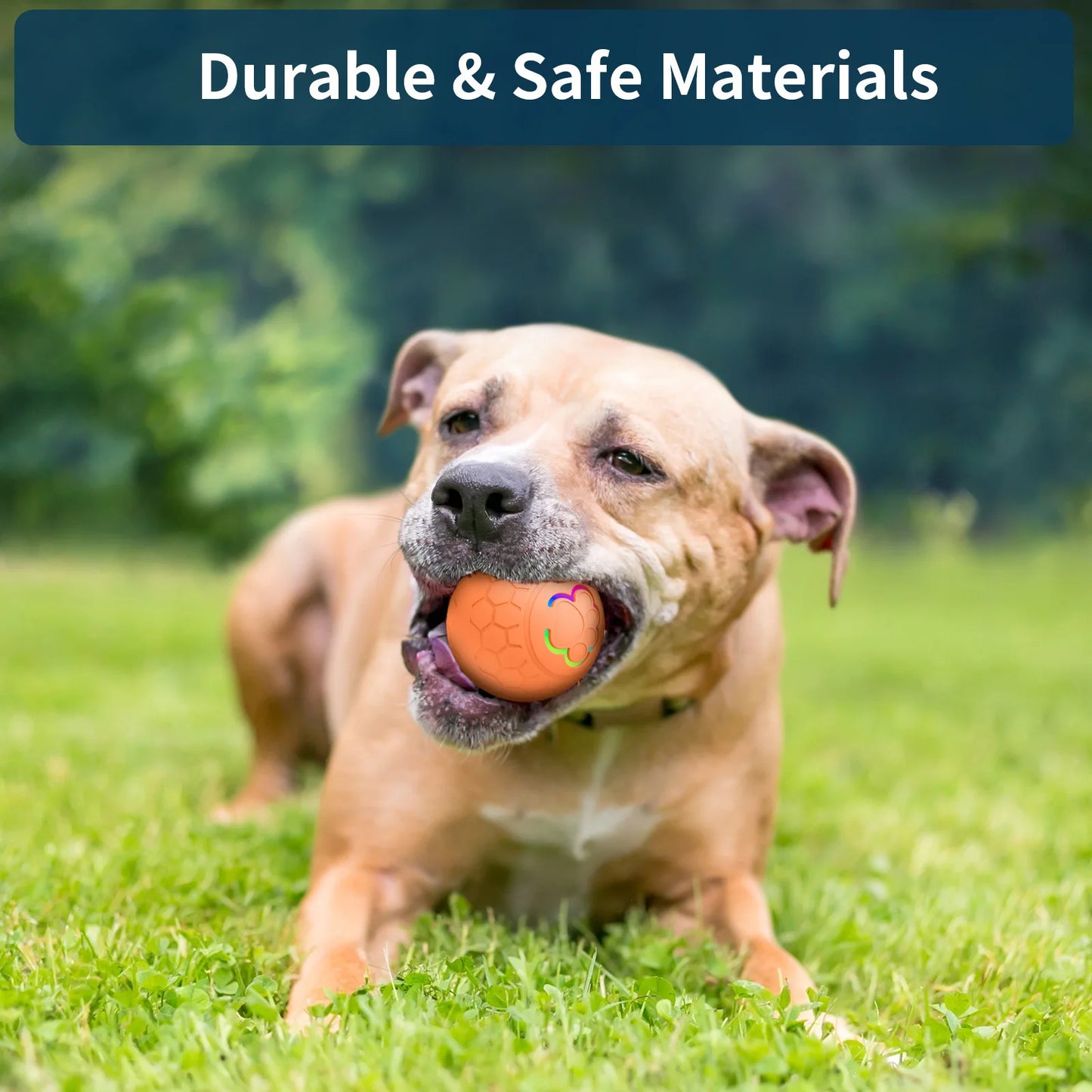 Interactive RGB Dog & Cat Toy Ball – USB Auto-Bouncing