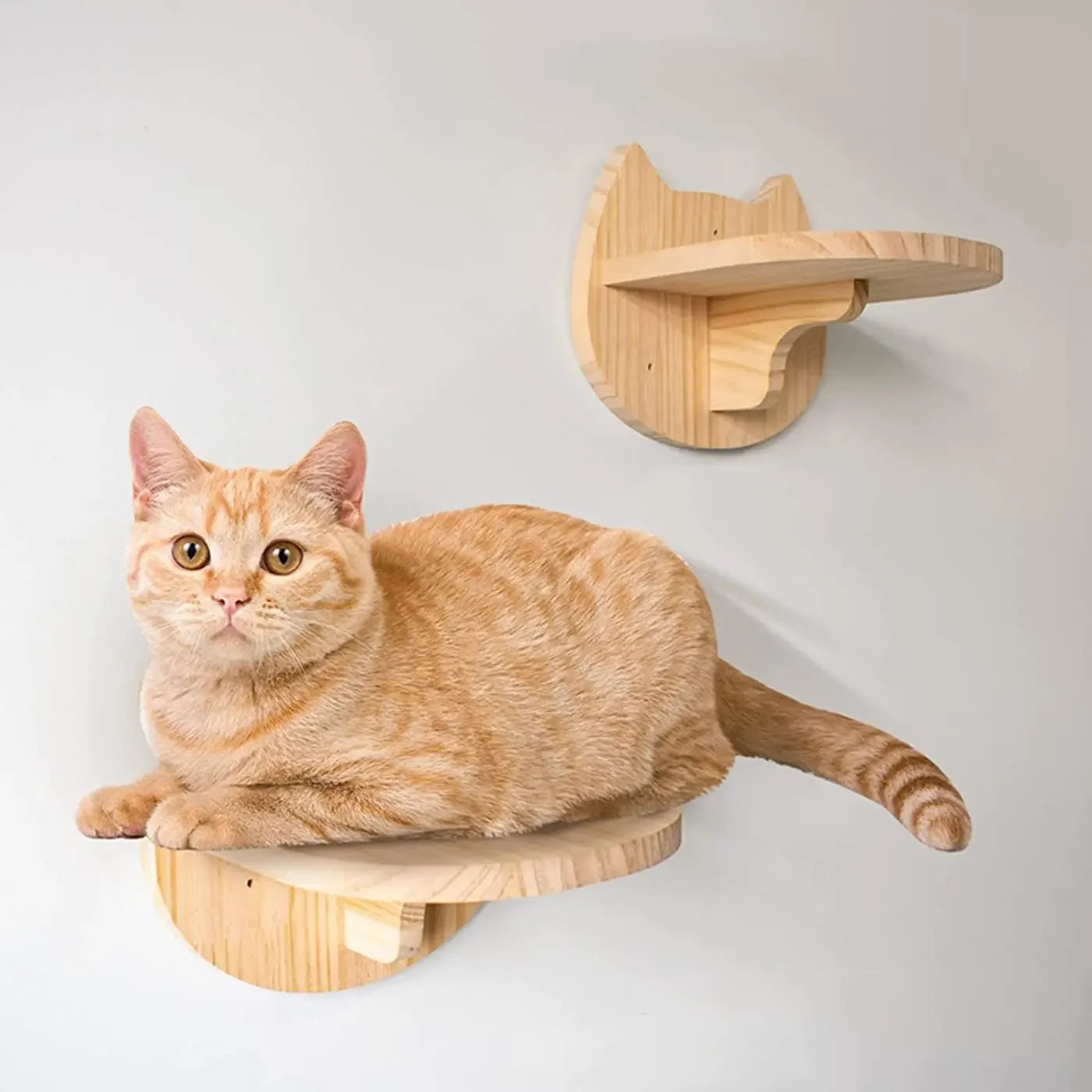Wall-Mounted Cat Climbing Shelves with Hammock & Steps