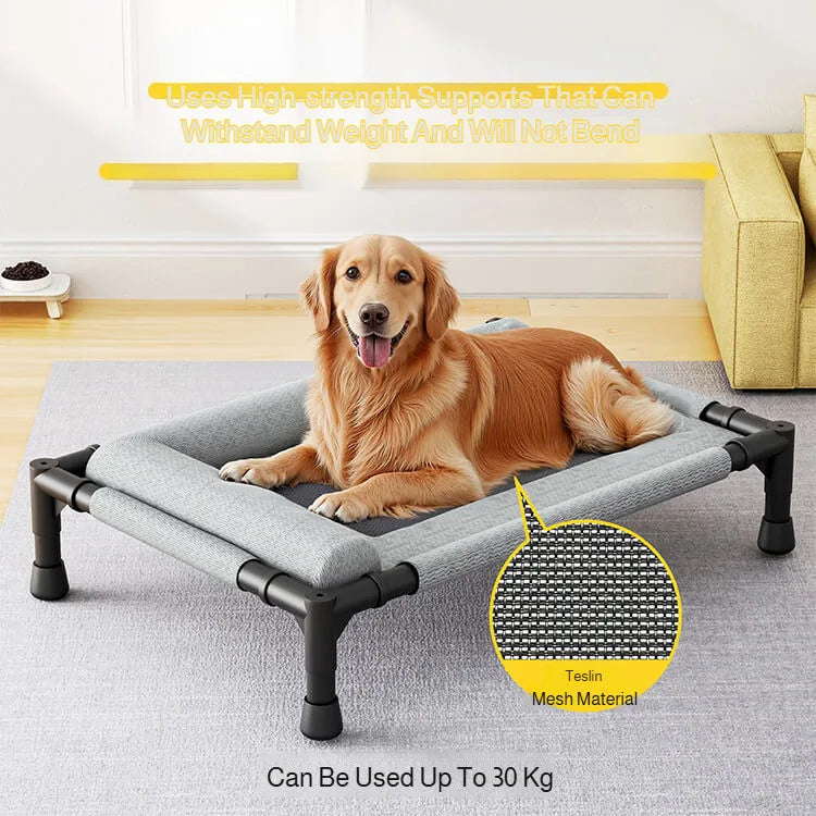 Raised Breathable Mesh Pet Bed with Pillow – Cats & Dogs