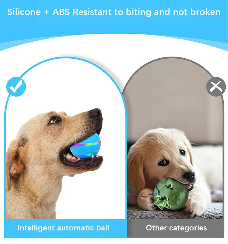 Remote Control Flashing Pet Toy Ball – USB Rechargeable