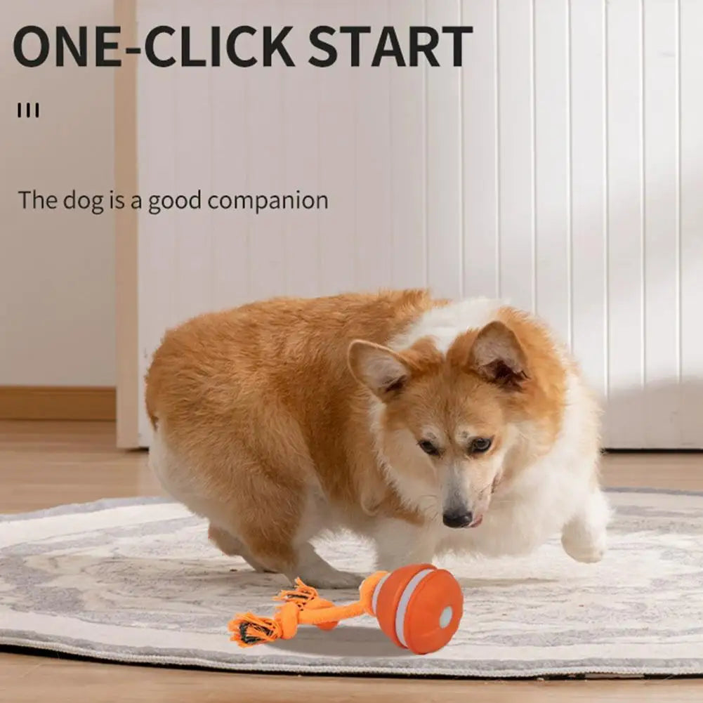 Auto-Rolling Interactive Dog Toy Ball – USB Rechargeable