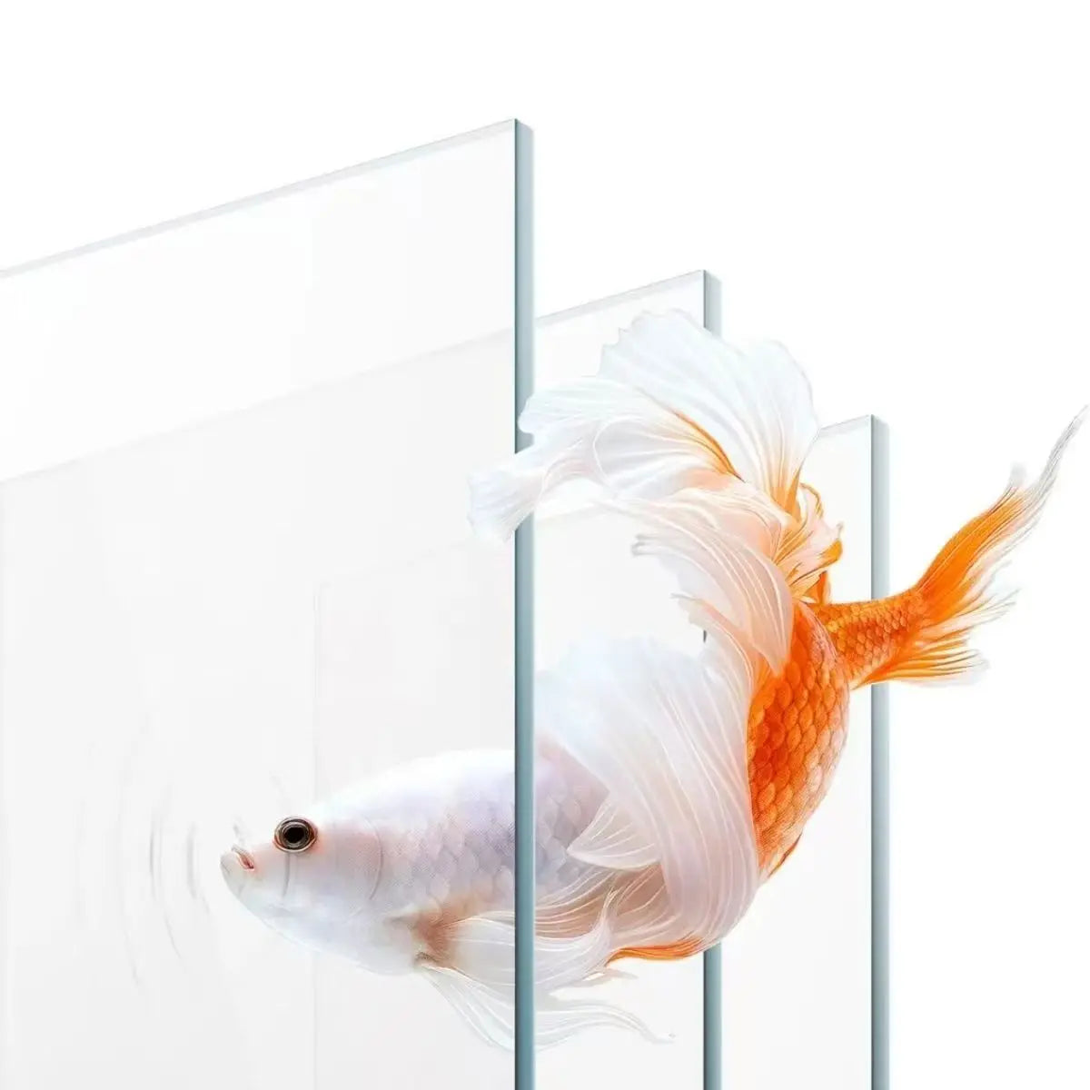 Xiaomi Mijia Smart Desktop Aquarium 10L with app-controlled feeding, filtration, and sleek glass design.