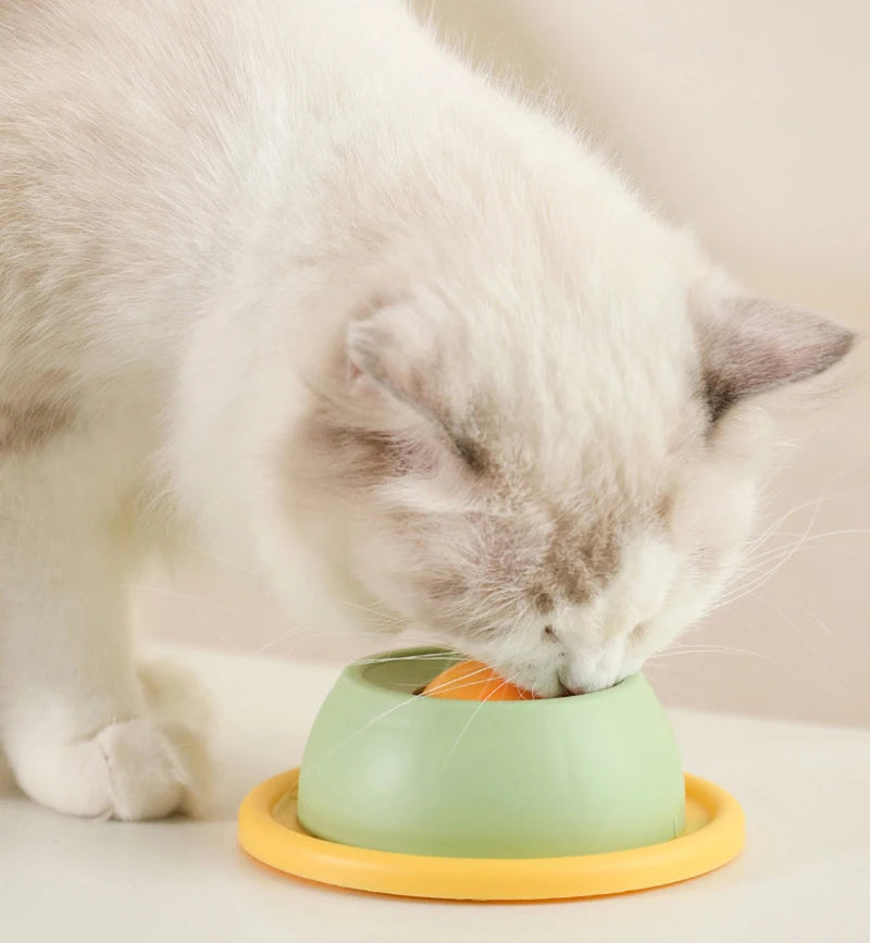 Interactive Pet Cat Licking Food Toys Anti-slip Pet Slow Feeder for Cats Funny Kitten Licking Plate Cat Accessories