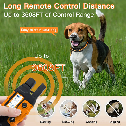 Dog Training Collar – 1000M Remote, Shock & Vibration