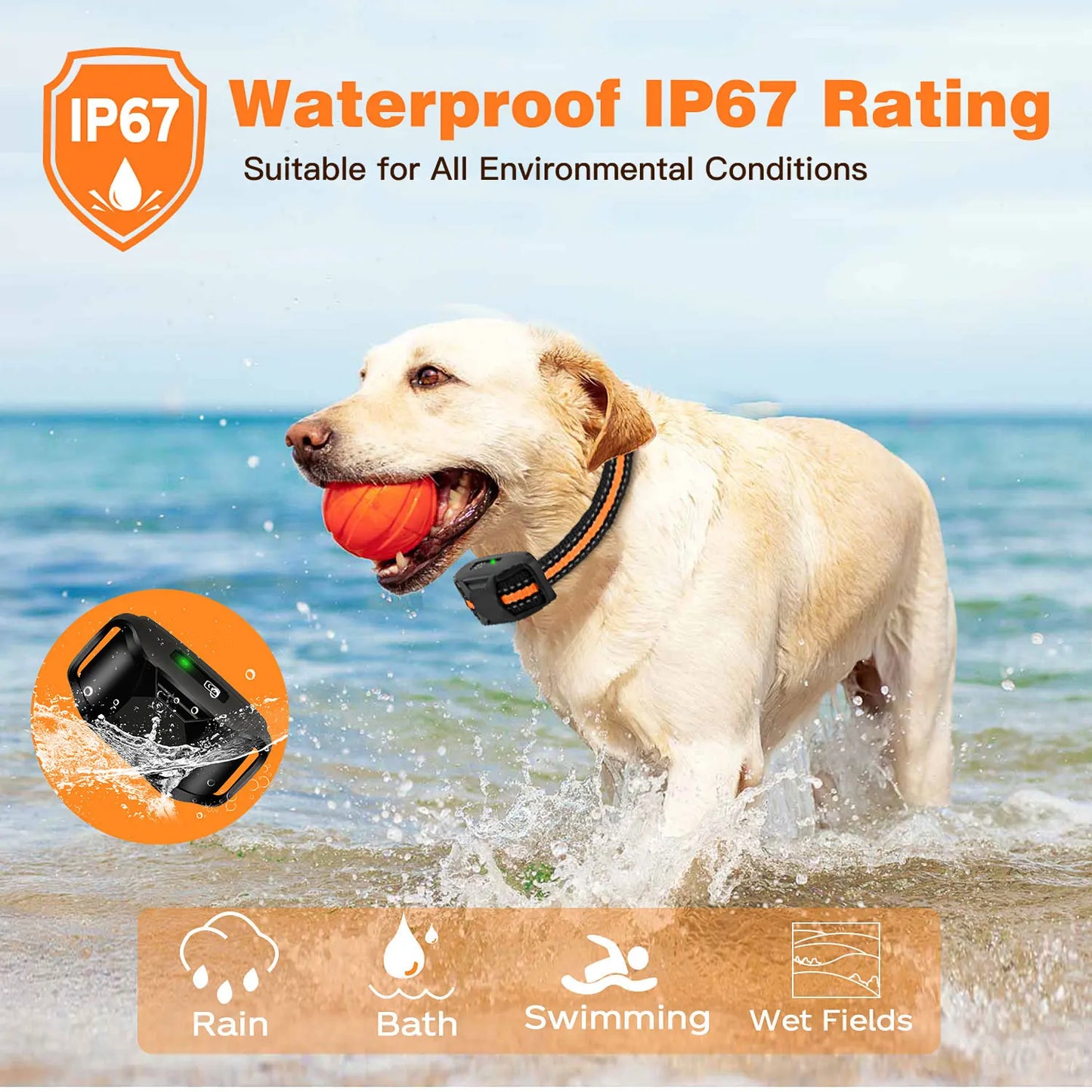 3300Ft Dog Training Collar with Remote Rechargeable Waterproof E Collar Beep Vibration Shock High Quality Pet Training