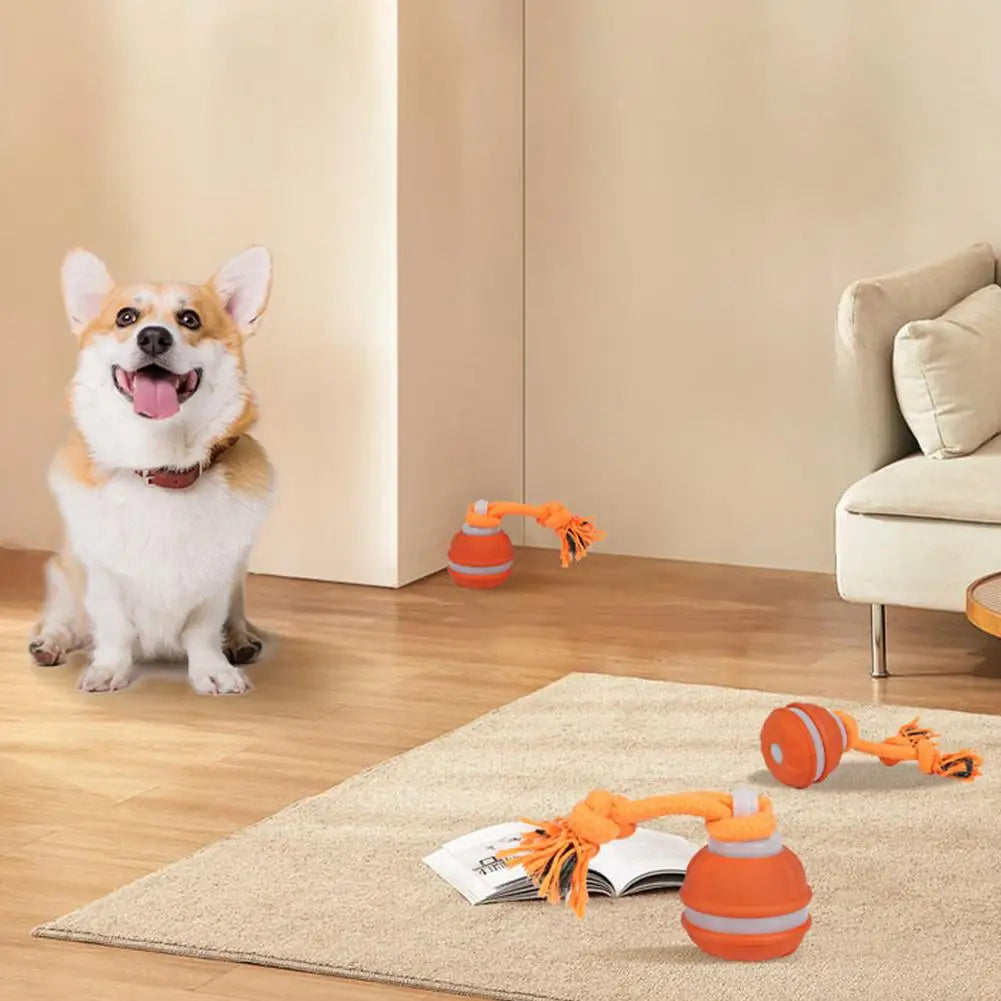 Auto-Rolling Interactive Dog Toy Ball – USB Rechargeable