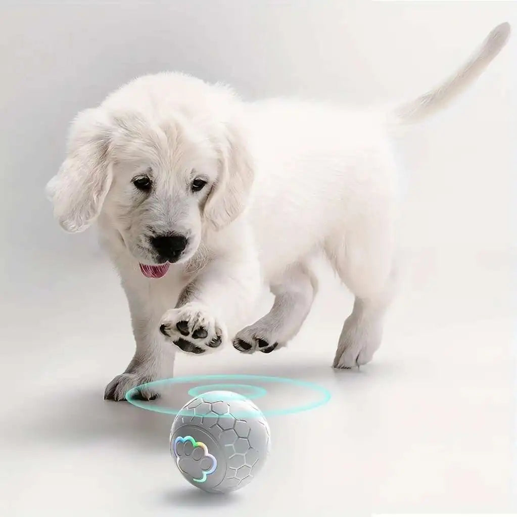 Smart Interactive Dog Toy Ball – RGB, USB Rechargeable