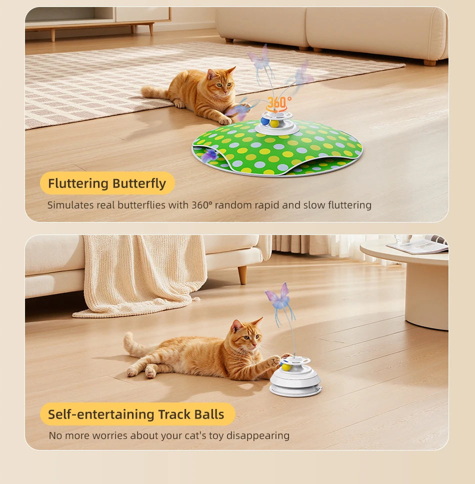 3-in-1 Hide & Seek Cat Toy – Feather, Butterfly & Track Balls