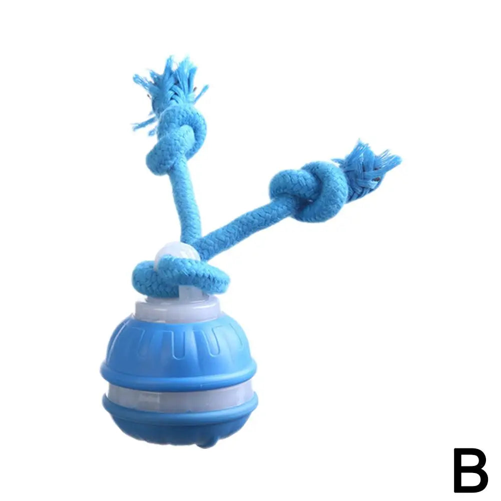 Auto-Rolling Interactive Dog Toy Ball – USB Rechargeable