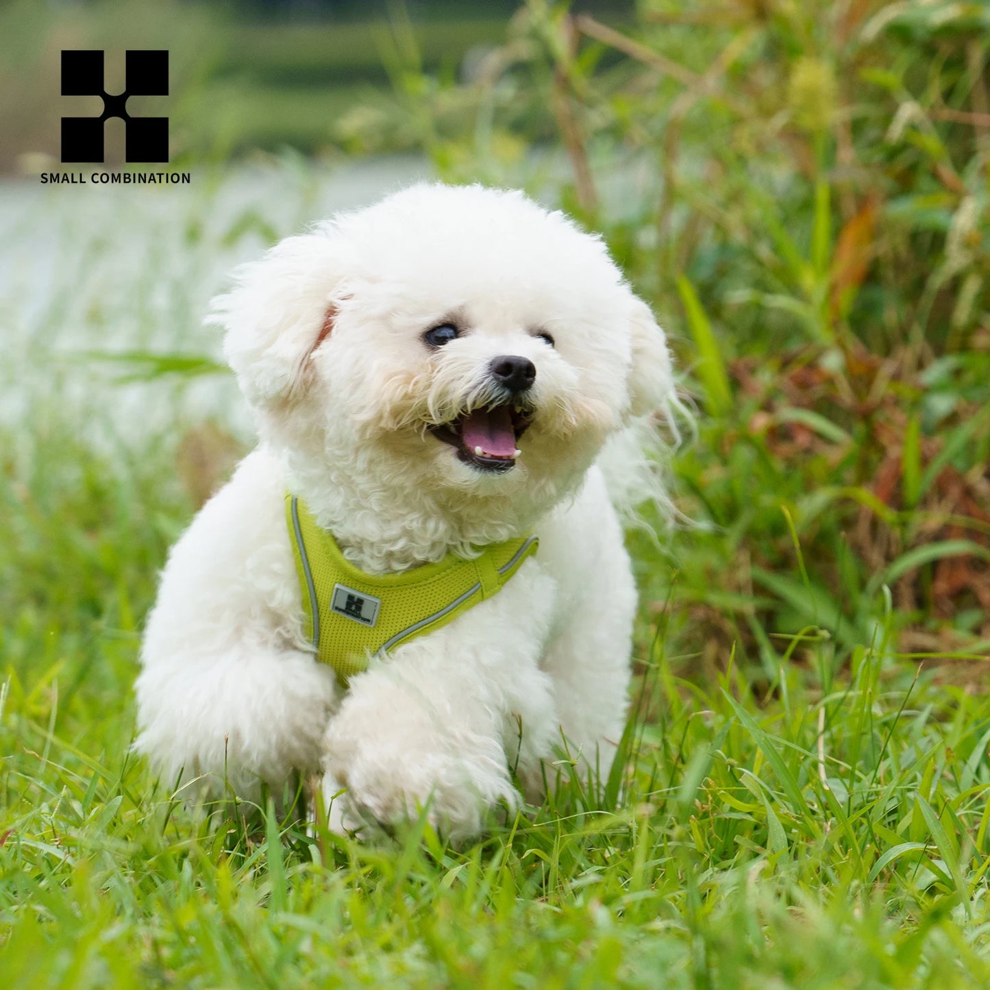 Reflective Dog Harness & Leash Set – Adjustable Vest