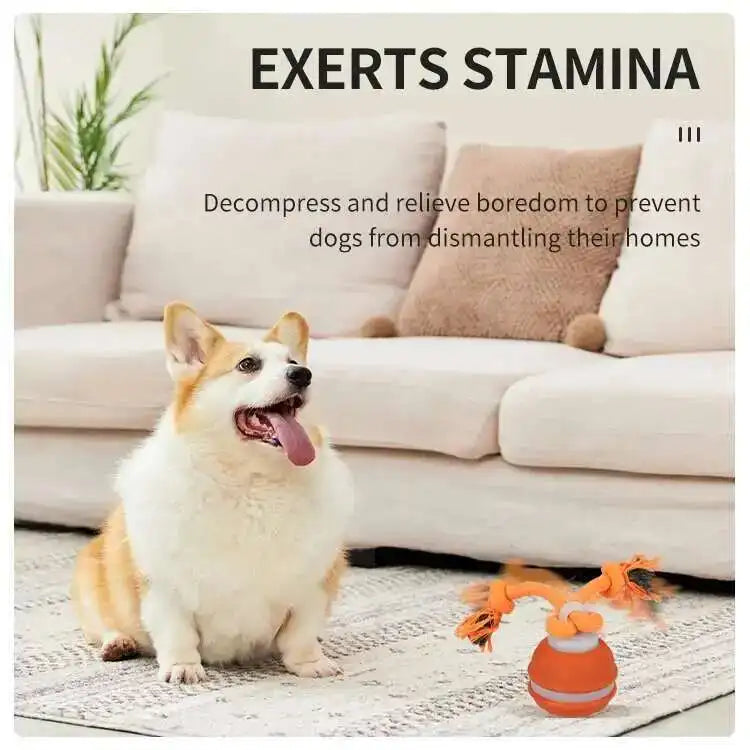 Motion-Activated Squeaky Rolling Dog Toy Ball