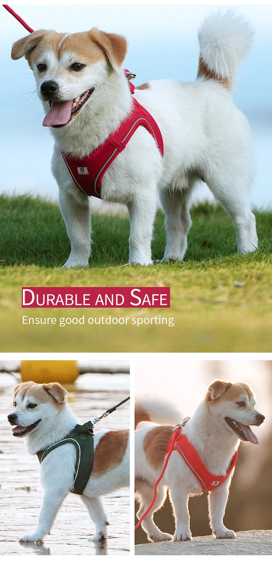 Reflective Dog Harness & Leash Set – Adjustable Vest
