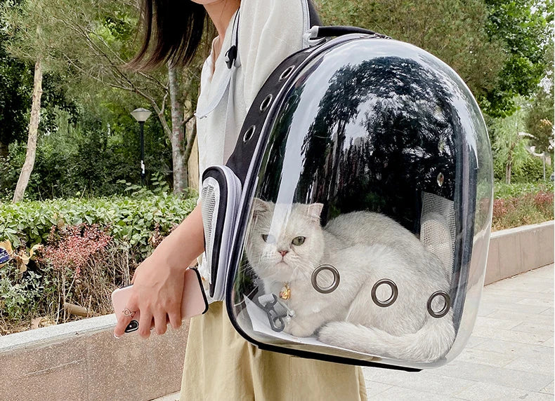 Space Capsule Transparent Pet Carrier Backpack
