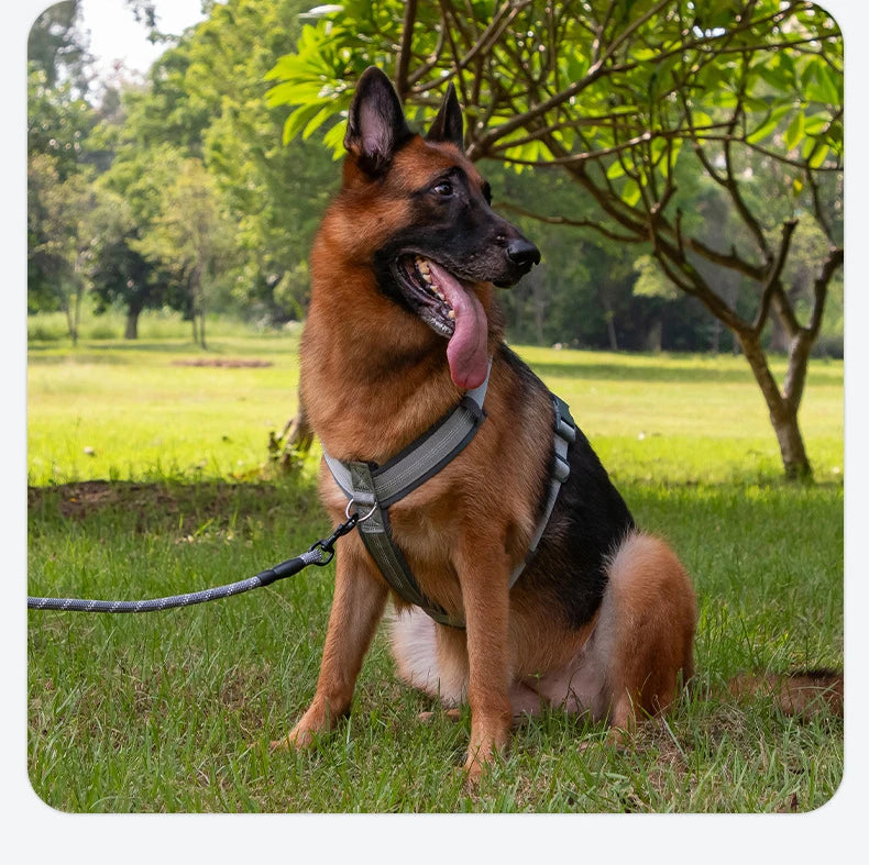 Comfortable Adjustable H-Shaped Large Dog Harness Washable Nylon Nighttime Reflective No Pull Pet Vest Harness Arnés Para Perros