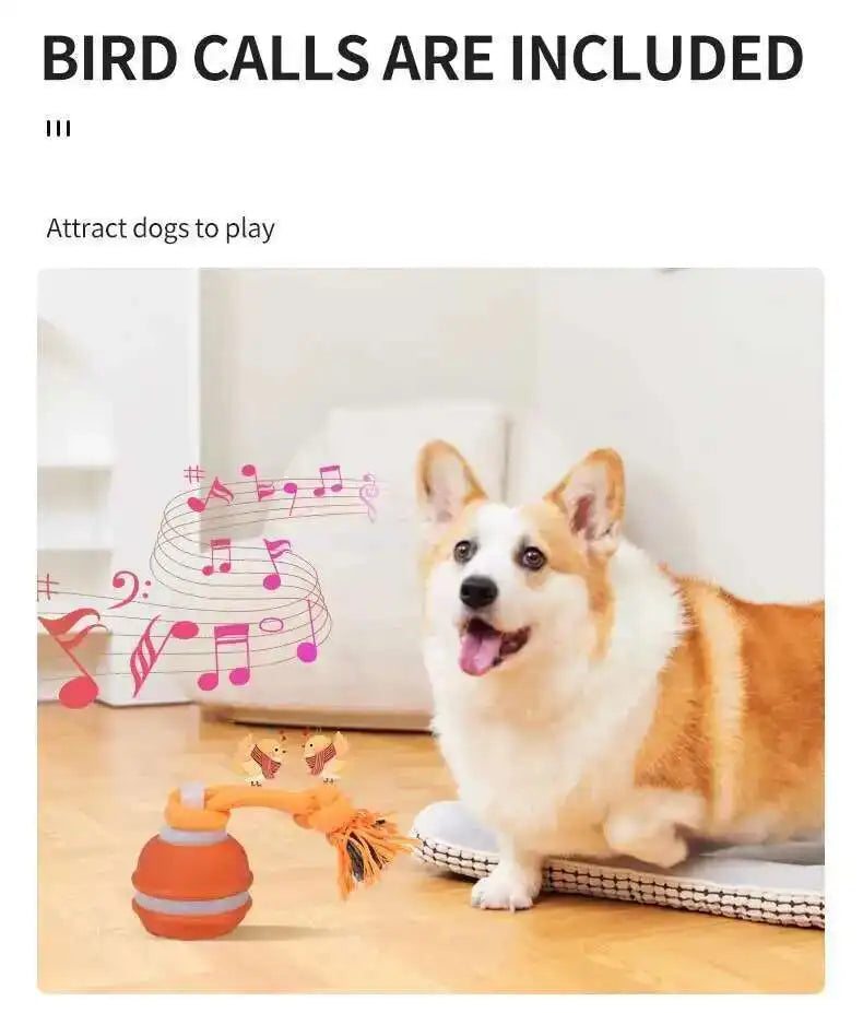 Motion-Activated Squeaky Rolling Dog Toy Ball