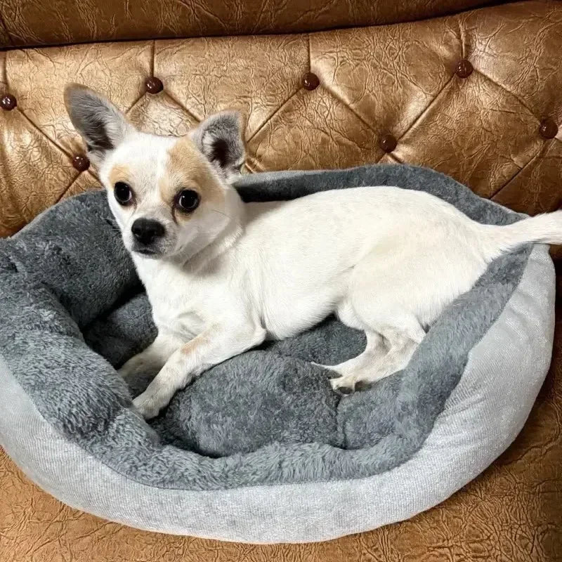 Soft Warm Dog Sofa Bed – Medium & Large Dogs