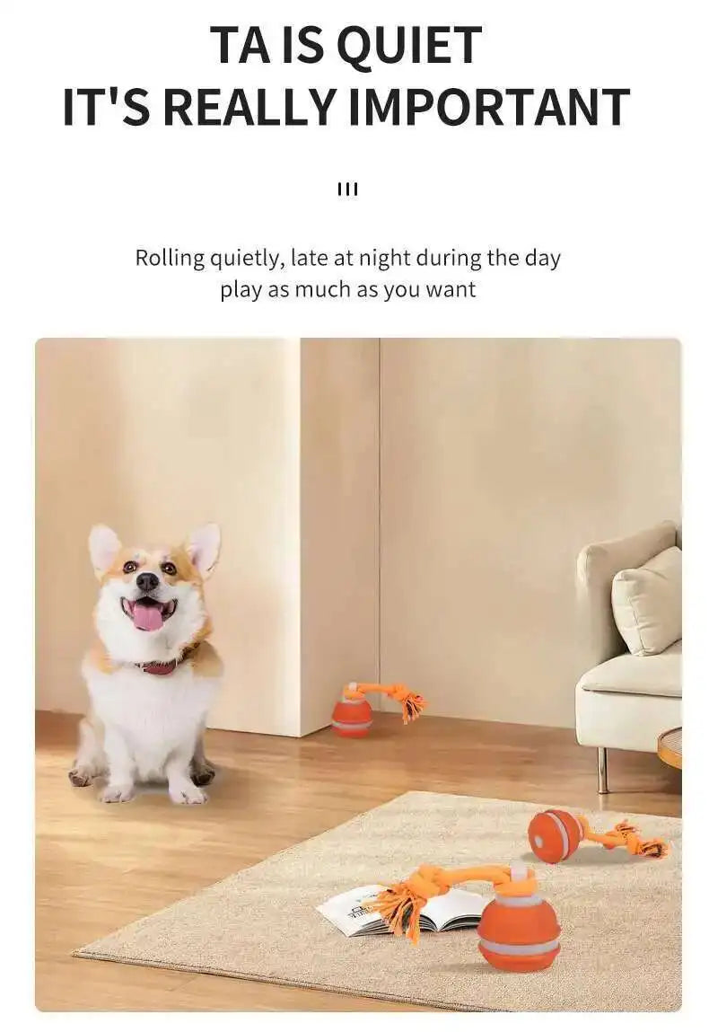 Motion-Activated Squeaky Rolling Dog Toy Ball