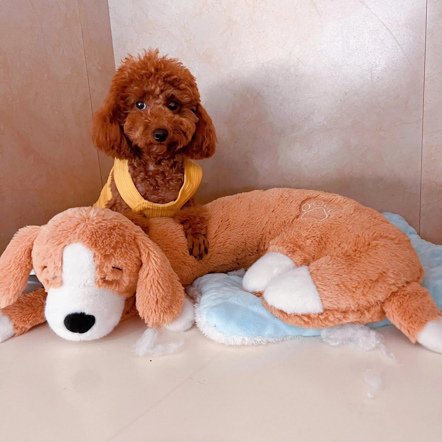 Curved Pillow Heartbeat Dog Toy – Comfort & Training